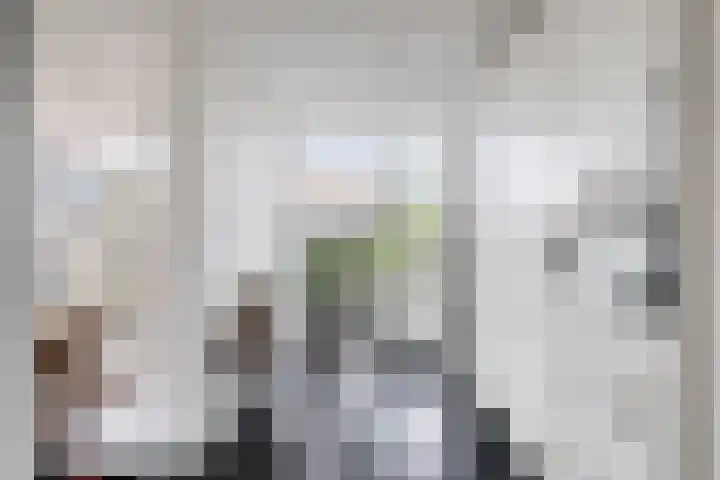 Nijnselseweg 33 Son en Breugel thumbnail 13