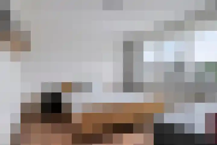 Nijnselseweg 33 Son en Breugel thumbnail 15