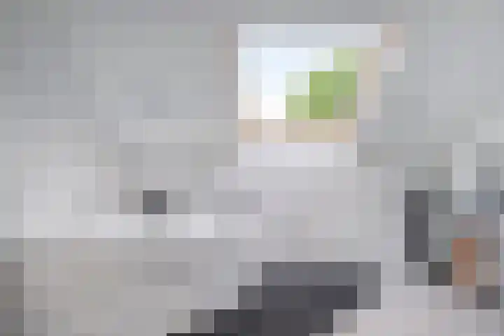 Nijnselseweg 33 Son en Breugel thumbnail 25