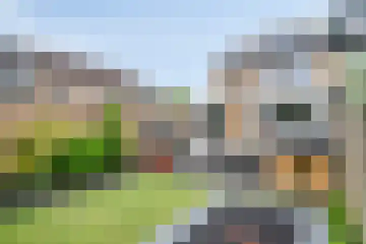 Nijnselseweg 33 Son en Breugel thumbnail 27