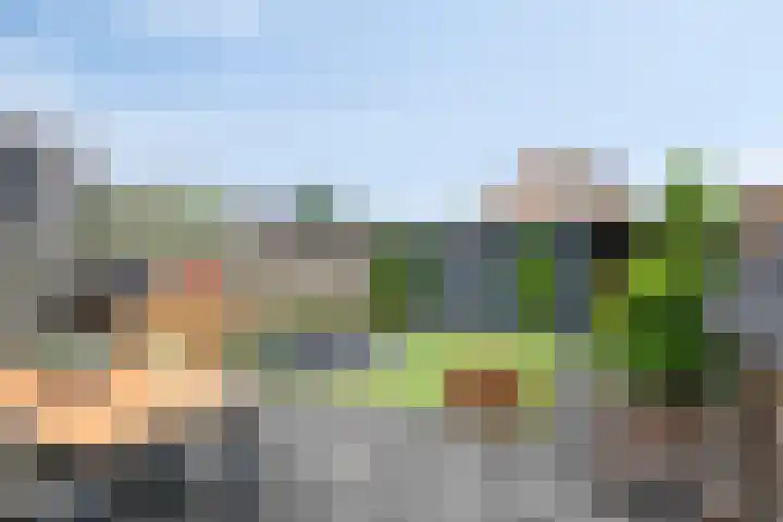 Nijnselseweg 33 Son en Breugel thumbnail 28