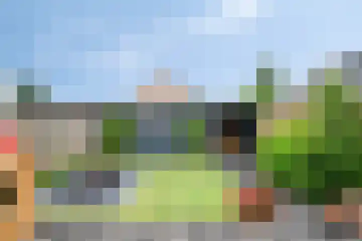 Nijnselseweg 33 Son en Breugel thumbnail 29