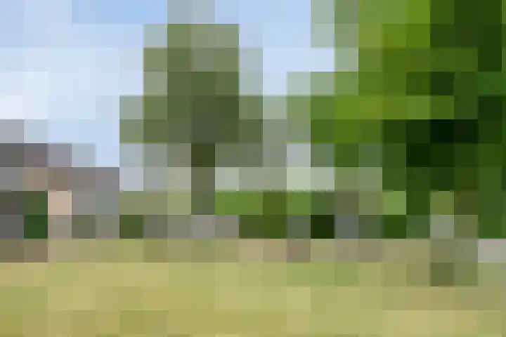 Nijnselseweg 33 Son en Breugel thumbnail 30
