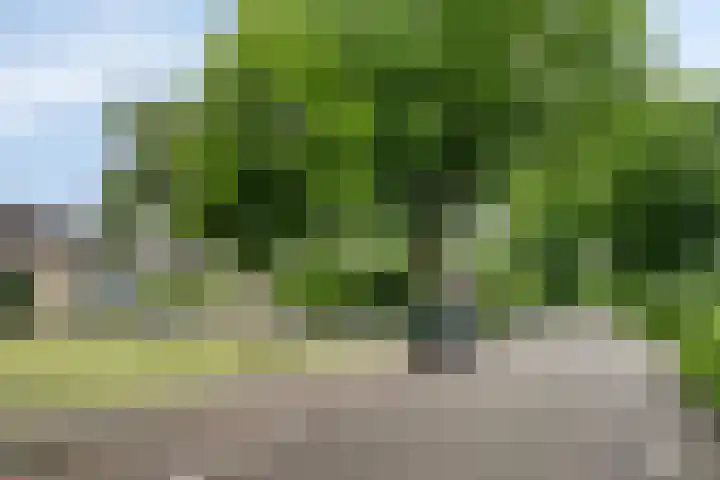 Nijnselseweg 33 Son en Breugel thumbnail 31