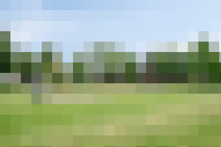 Nijnselseweg 33 Son en Breugel thumbnail 32