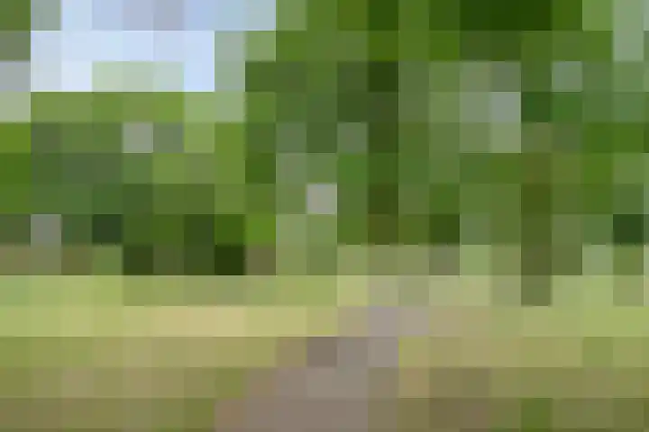 Nijnselseweg 33 Son en Breugel thumbnail 33