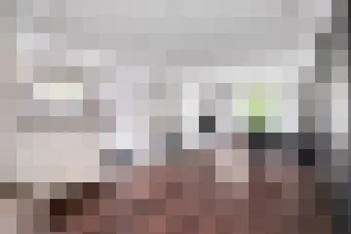 Nijnselseweg 33 Son en Breugel thumbnail 7