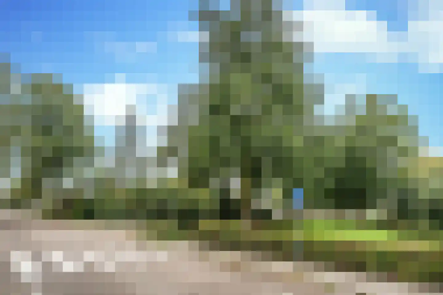Nijnselseweg 35 Son en Breugel thumbnail 13