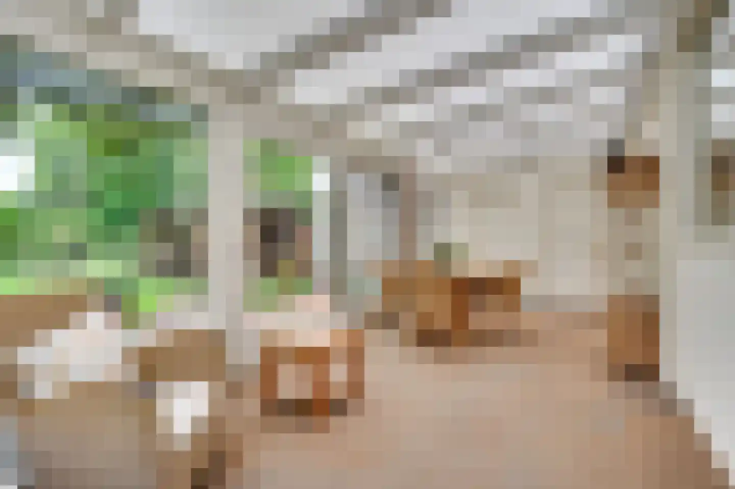 Nijnselseweg 35 Son en Breugel thumbnail 35