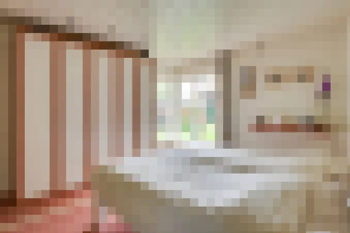 Nijnselseweg 35 Son en Breugel thumbnail 38