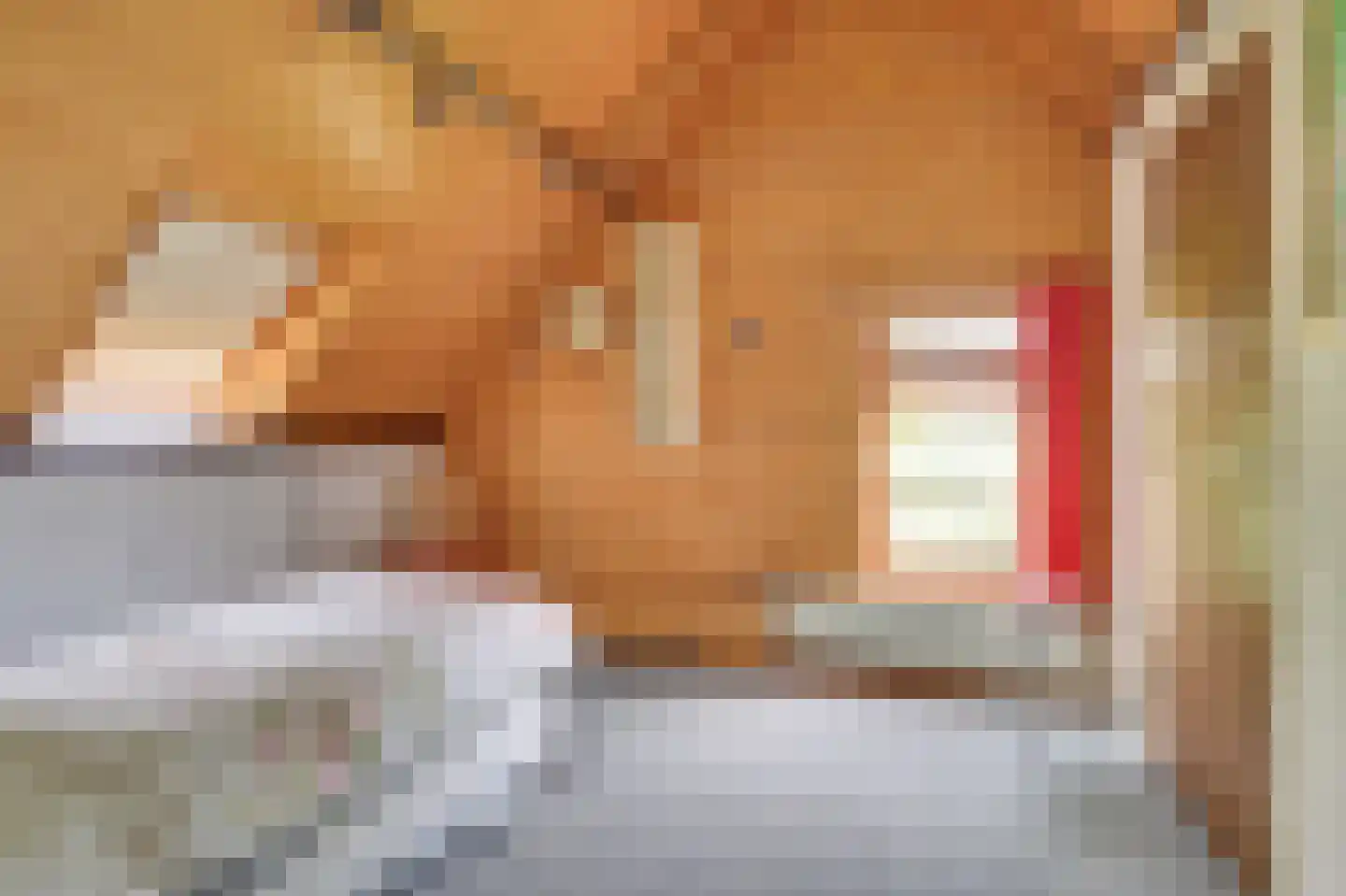 Nijnselseweg 35 Son en Breugel thumbnail 49