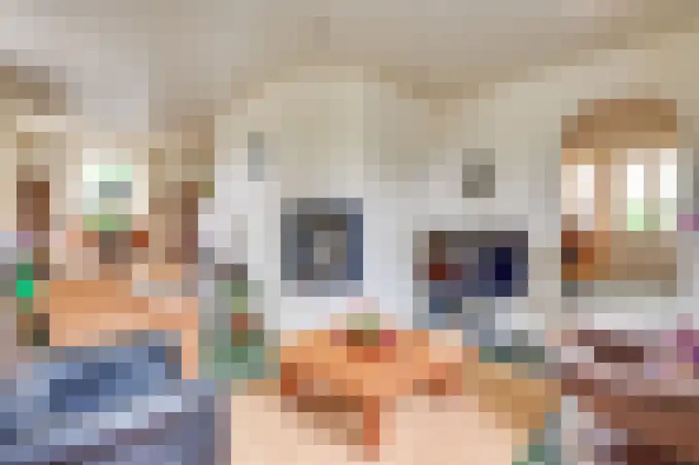 Nijnselseweg 35 Son en Breugel thumbnail 5
