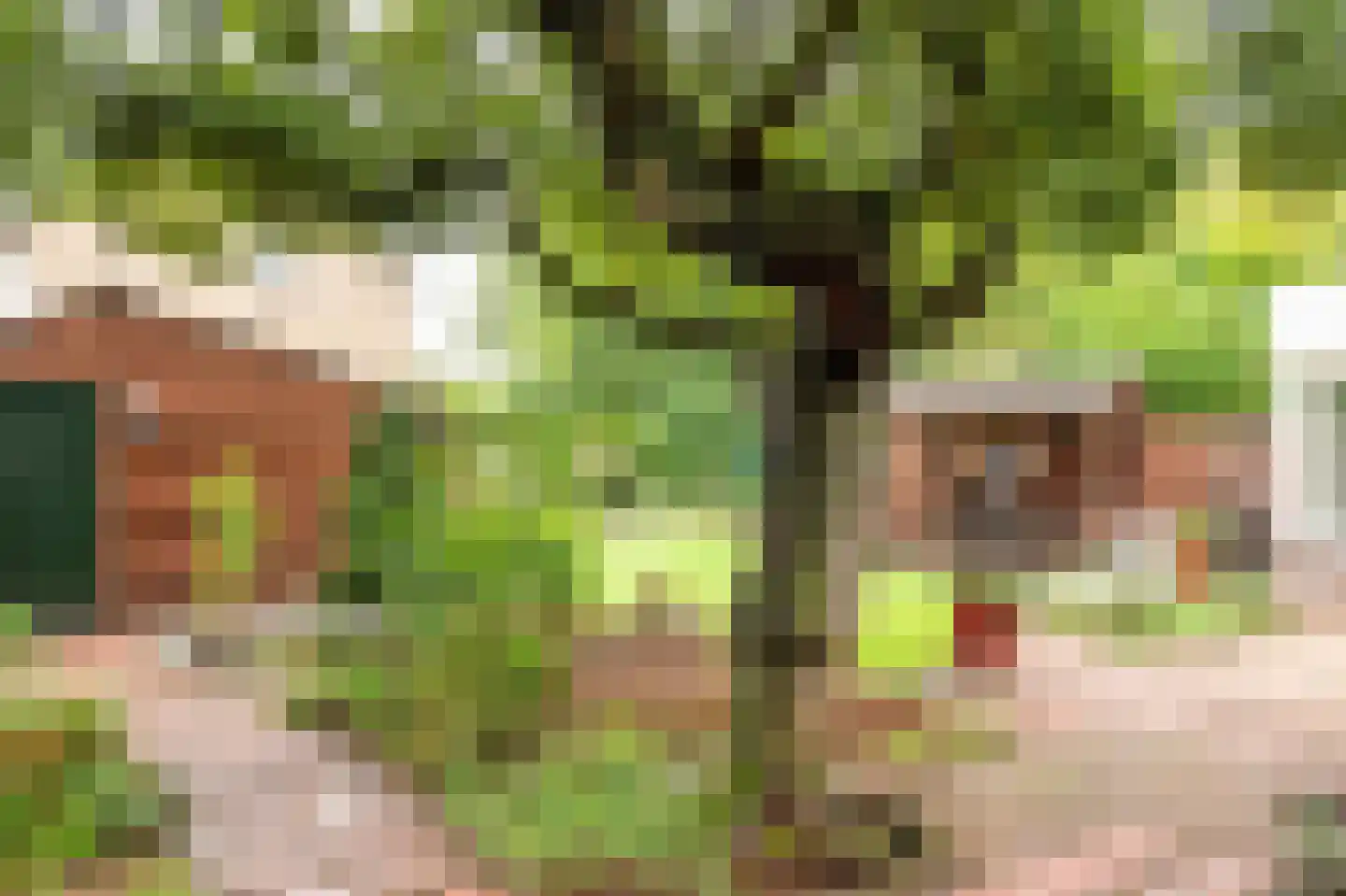 Nijnselseweg 35 Son en Breugel thumbnail 55