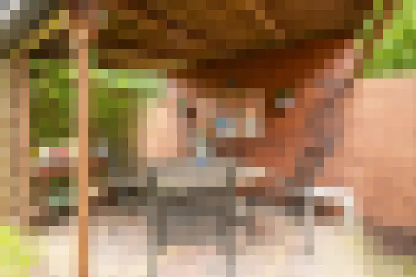 Nijnselseweg 35 Son en Breugel thumbnail 62