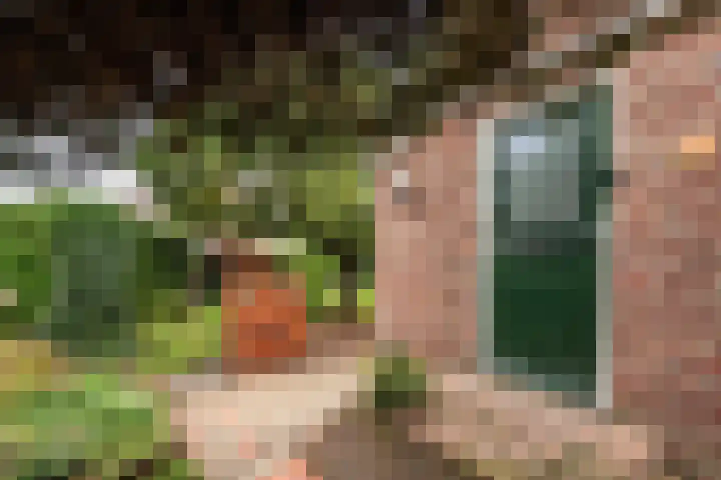 Nijnselseweg 35 Son en Breugel thumbnail 68