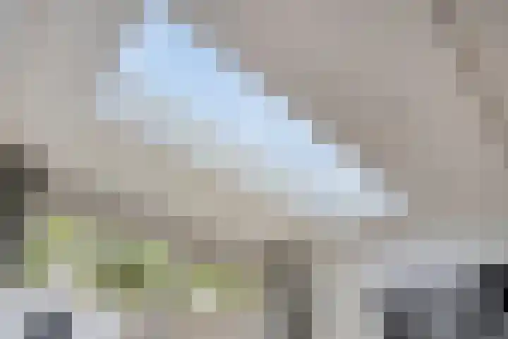Nijnselseweg 4 Son en Breugel thumbnail 12