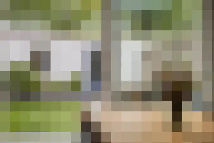 Nijnselseweg 4 Son en Breugel thumbnail 13