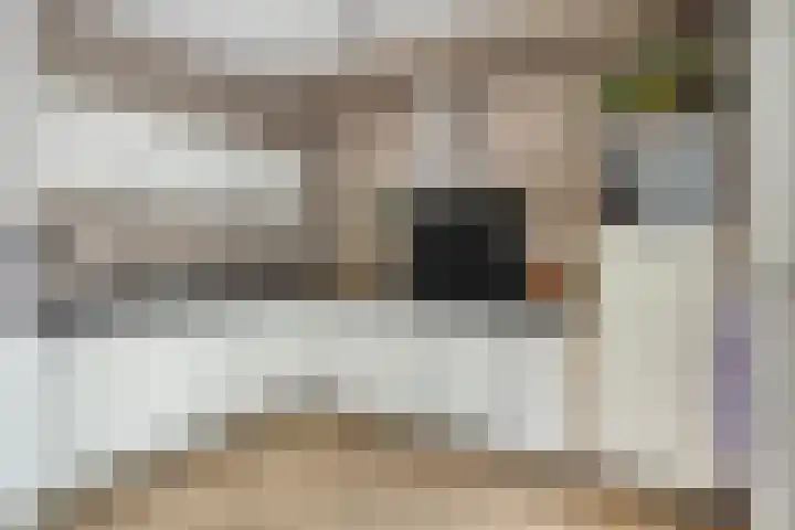 Nijnselseweg 4 Son en Breugel thumbnail 14