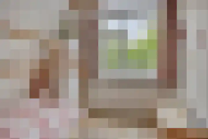 Nijnselseweg 4 Son en Breugel thumbnail 22