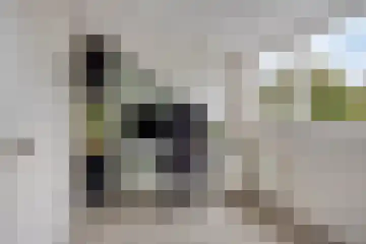 Nijnselseweg 4 Son en Breugel thumbnail 29