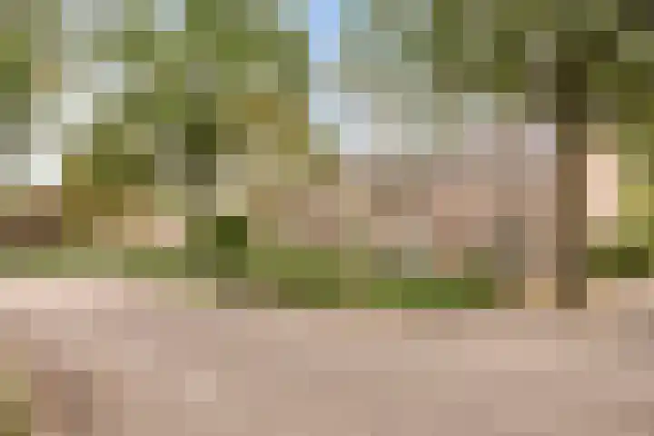 Nijnselseweg 4 Son en Breugel thumbnail 35