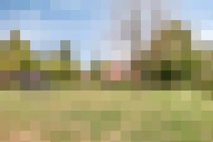 Nijnselseweg 4 Son en Breugel thumbnail 38