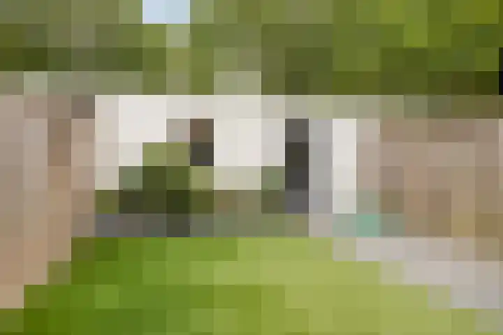 Nijnselseweg 4 Son en Breugel thumbnail 4