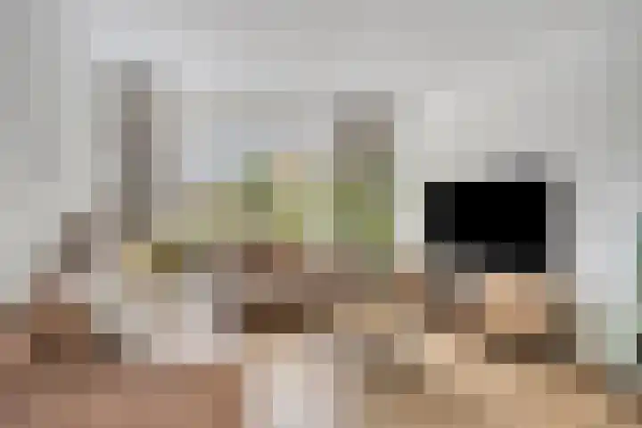 Nijnselseweg 4 Son en Breugel thumbnail 5