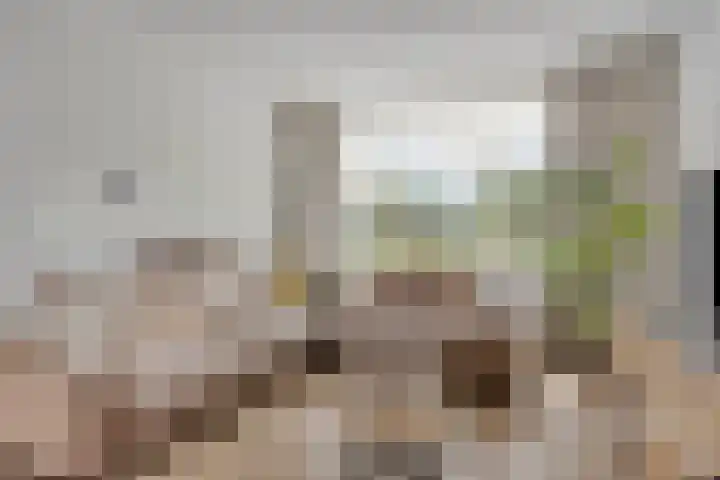 Nijnselseweg 4 Son en Breugel thumbnail 6