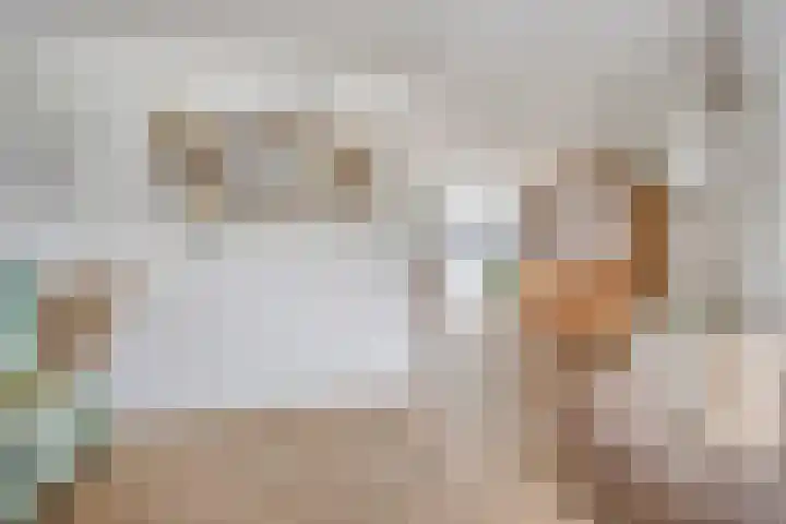 Nijnselseweg 4 Son en Breugel thumbnail 7