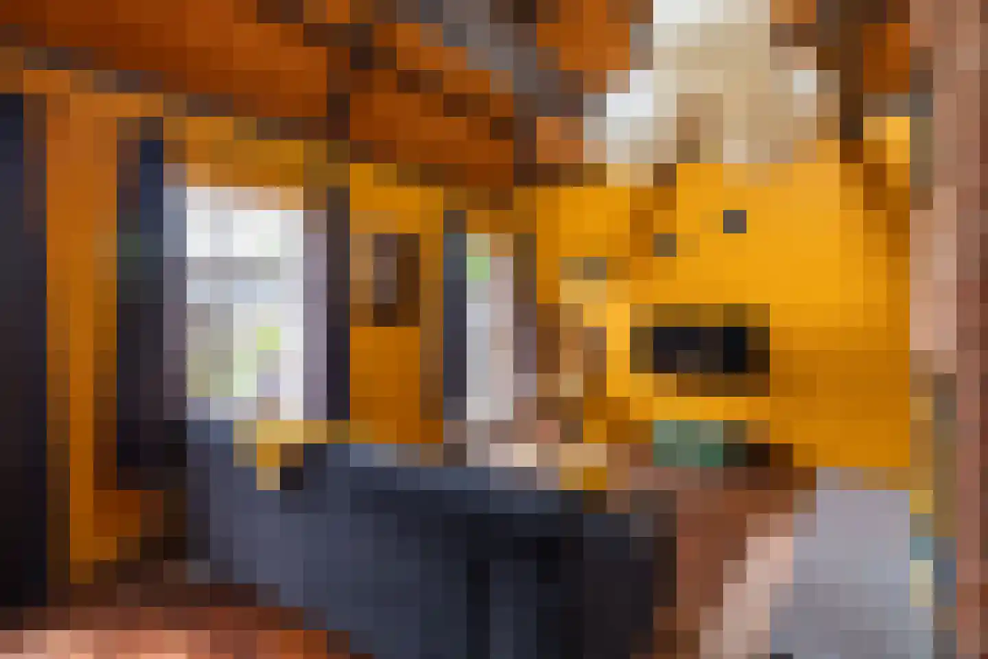 Nijpaed 5 Warten thumbnail 15