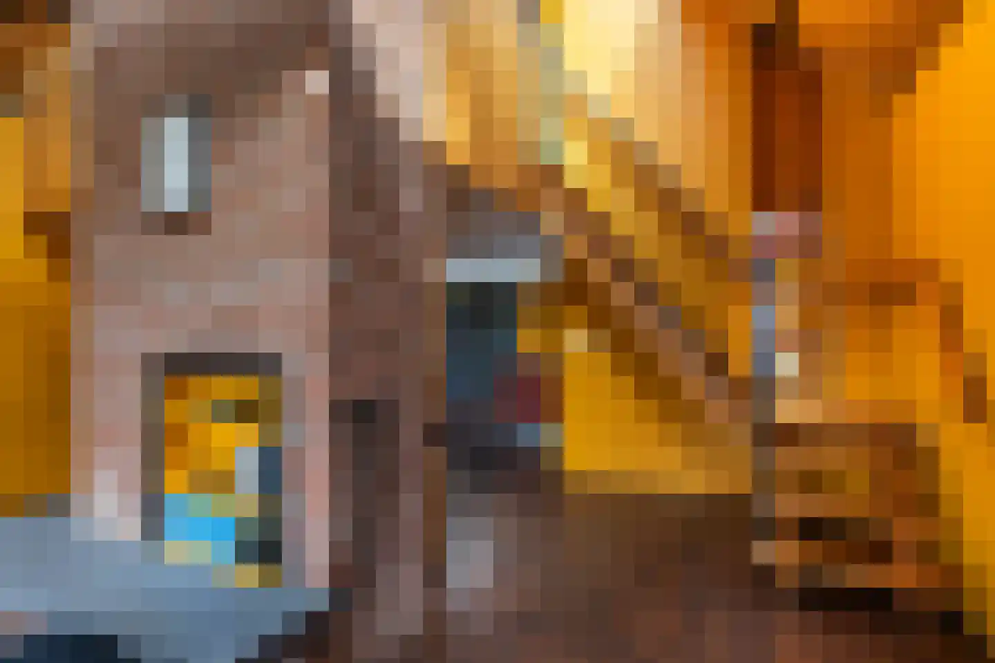 Nijpaed 5 Warten thumbnail 19