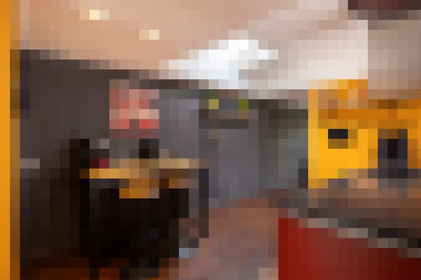 Nijpaed 5 Warten thumbnail 22