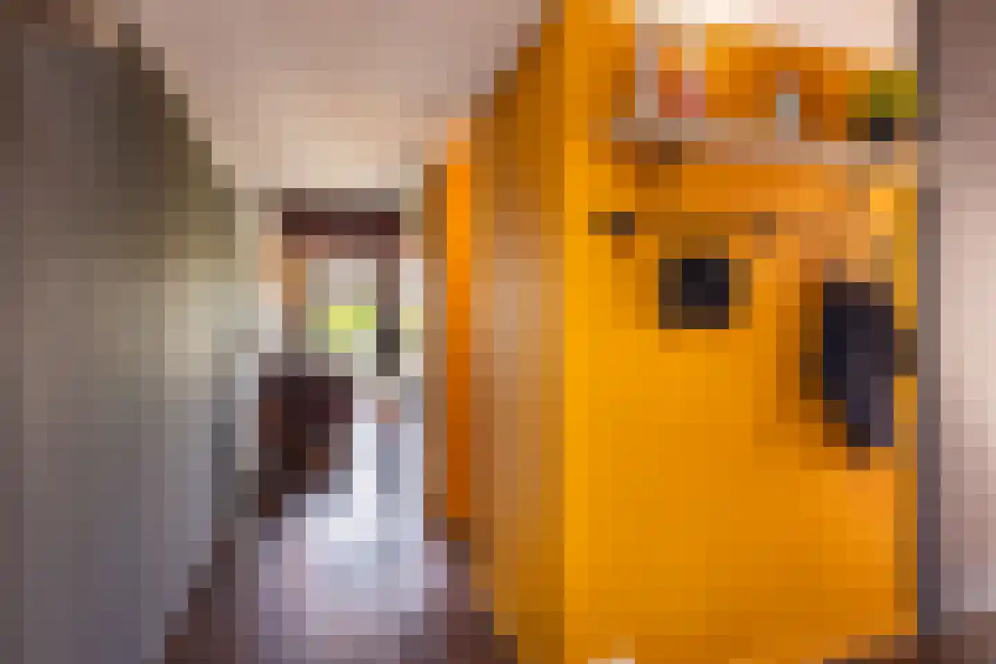 Nijpaed 5 Warten thumbnail 32