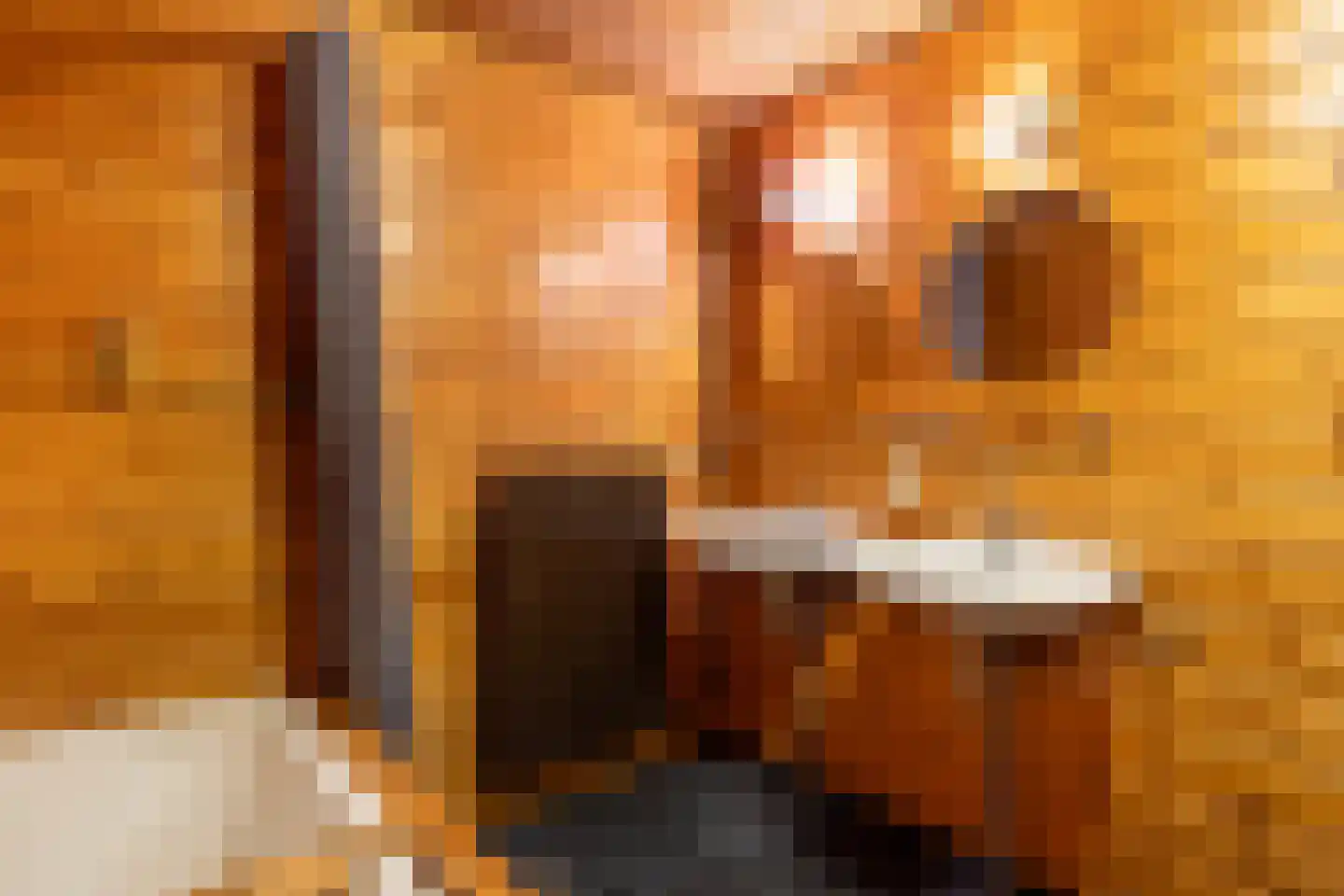 Nijpaed 5 Warten thumbnail 36