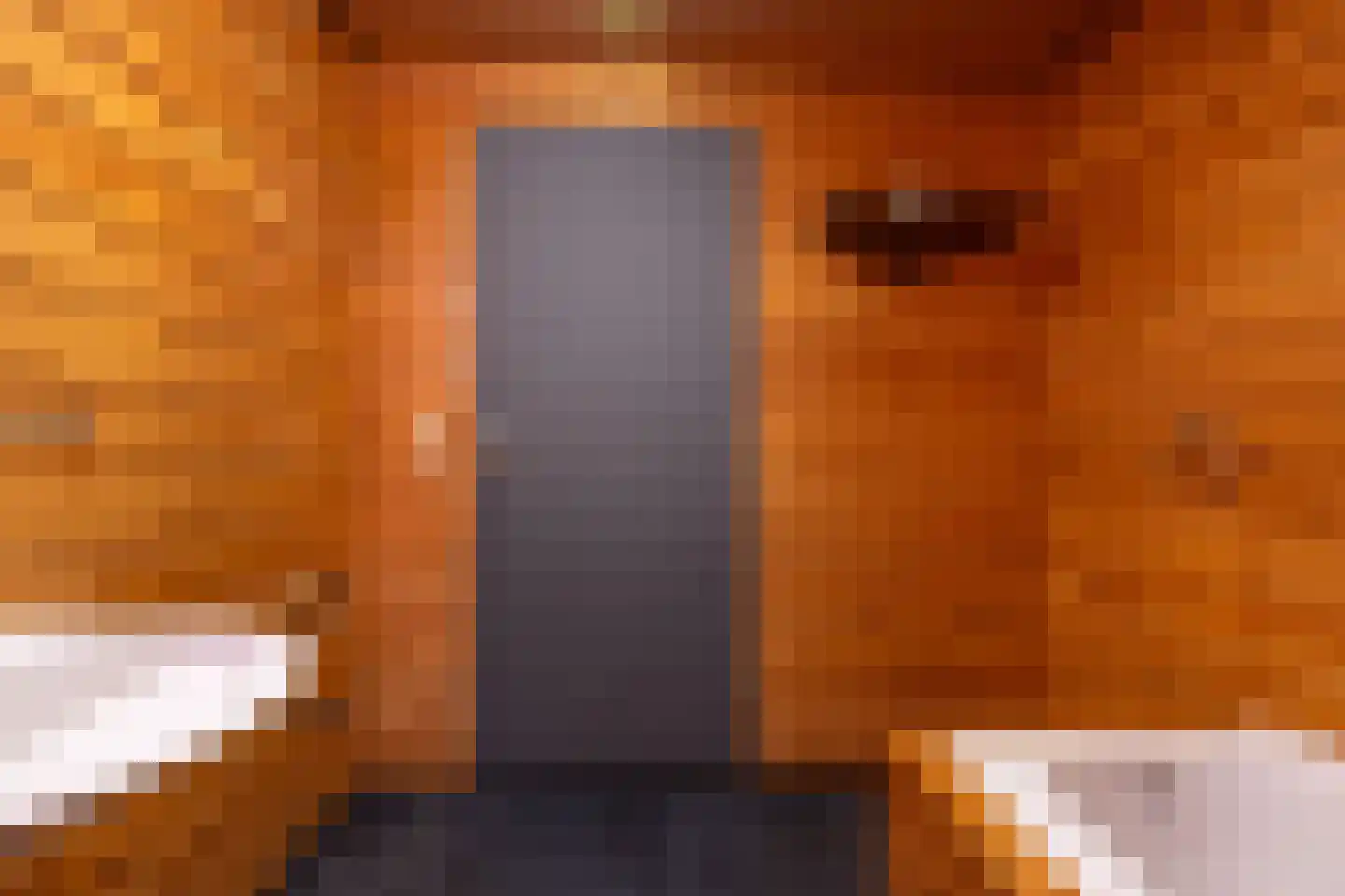 Nijpaed 5 Warten thumbnail 37
