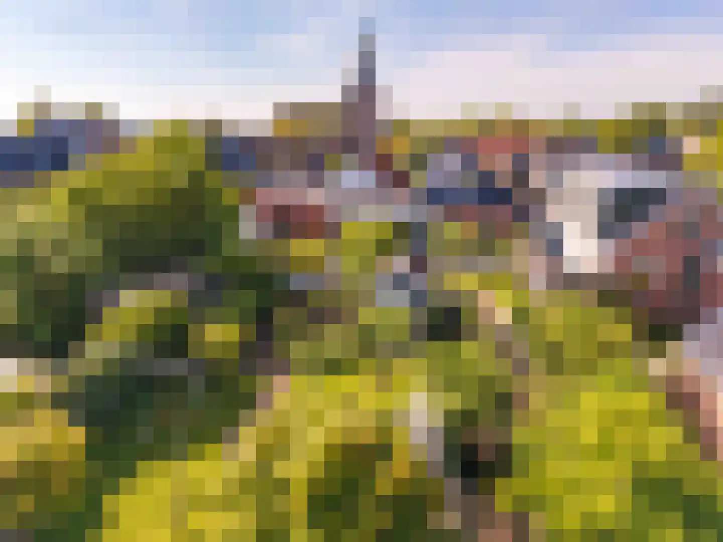 Nijpaed 5 Warten thumbnail 5