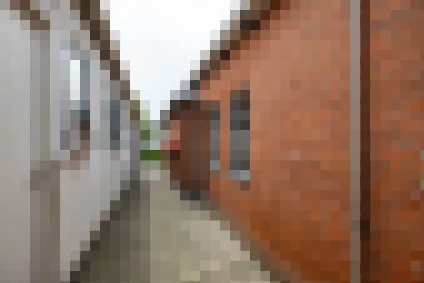 Nijpaed 5 Warten thumbnail 52