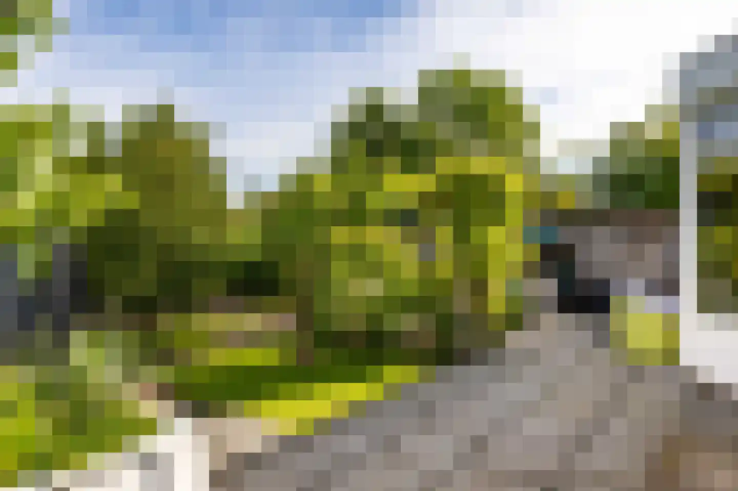 Nijpaed 5 Warten thumbnail 57