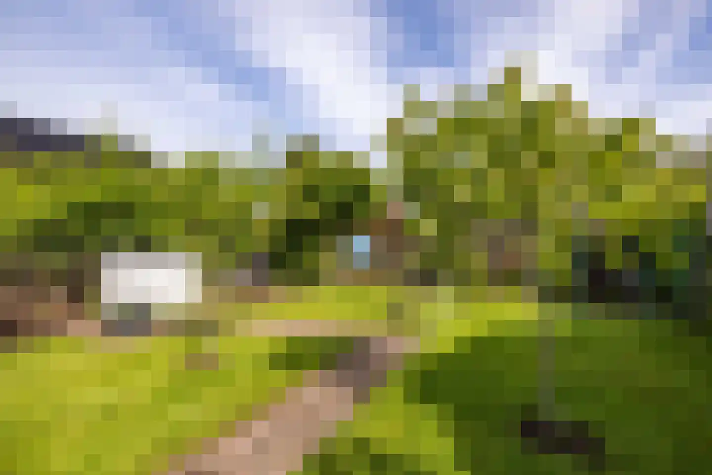 Nijpaed 5 Warten thumbnail 60