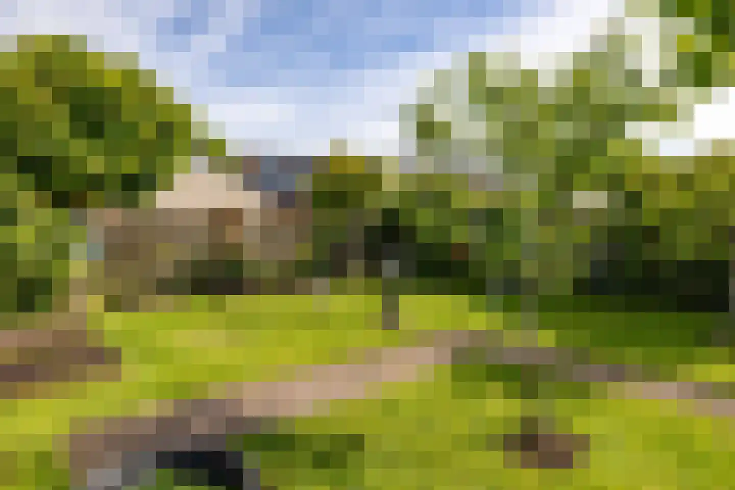 Nijpaed 5 Warten thumbnail 61
