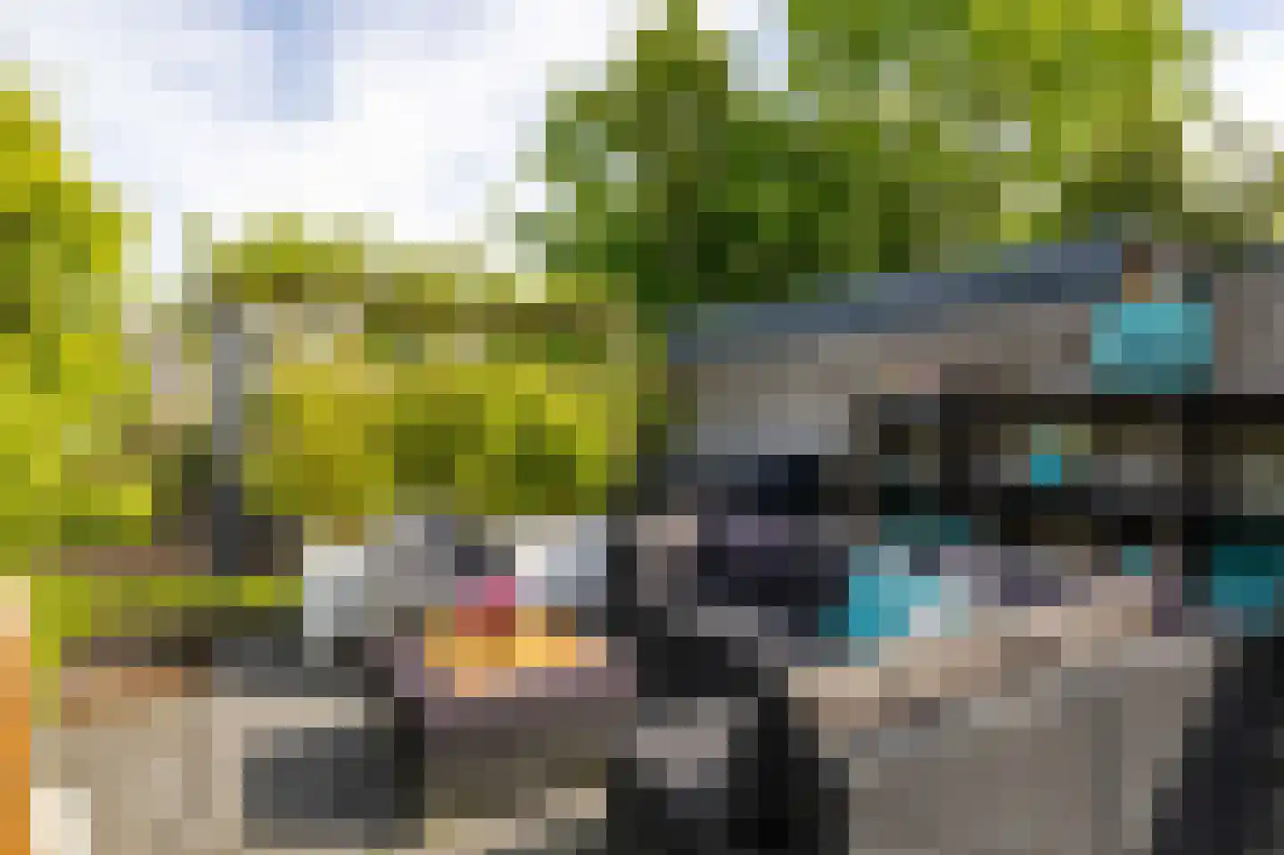 Nijpaed 5 Warten thumbnail 65