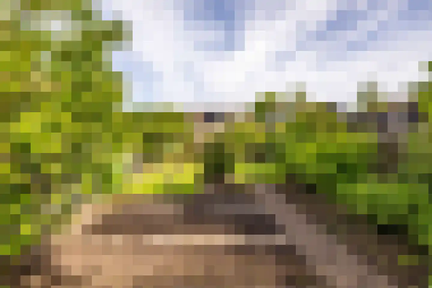 Nijpaed 5 Warten thumbnail 66