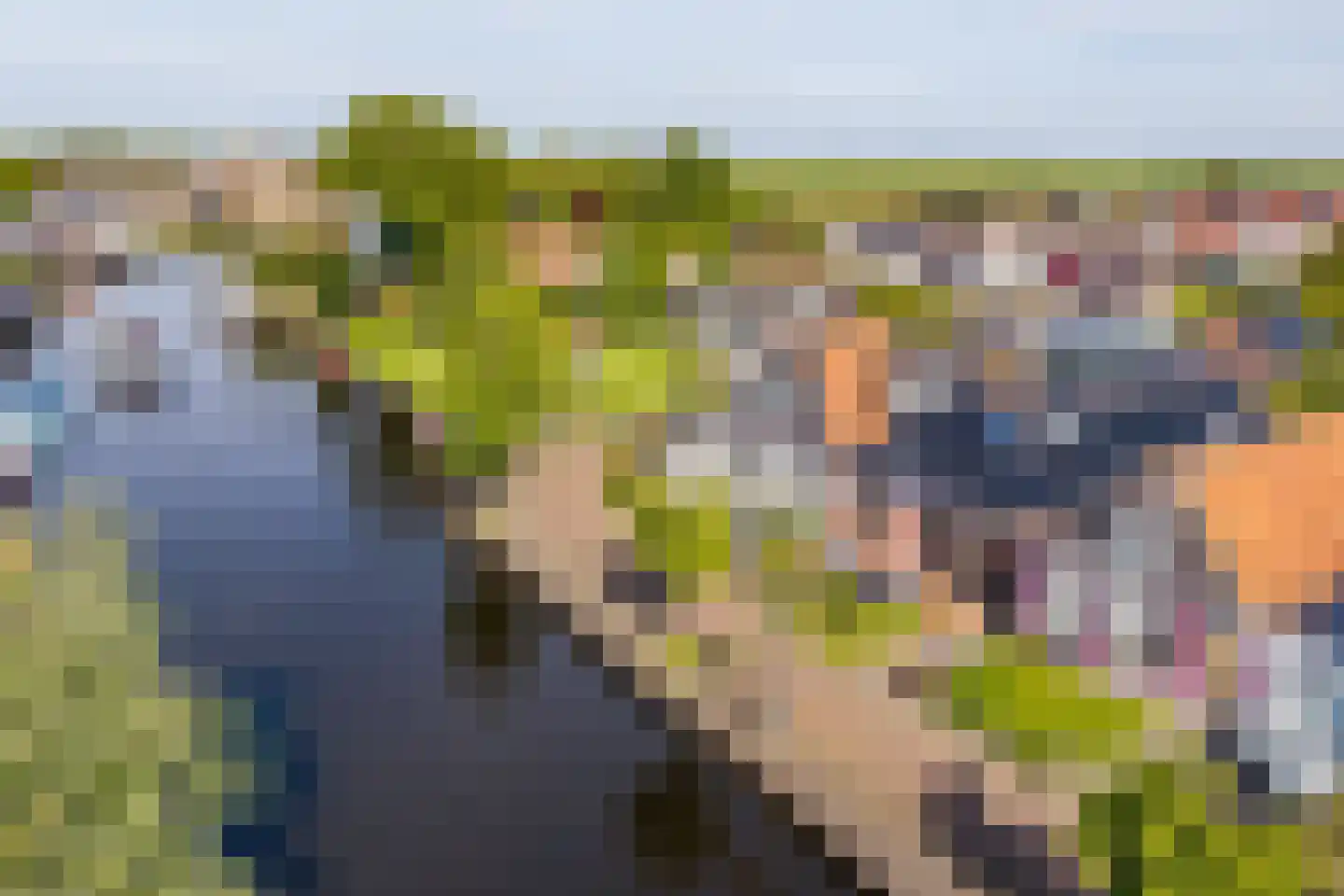 Nijpaed 5 Warten thumbnail 7