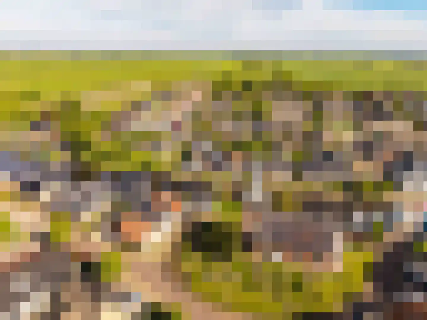 Nijpaed 5 Warten thumbnail 71