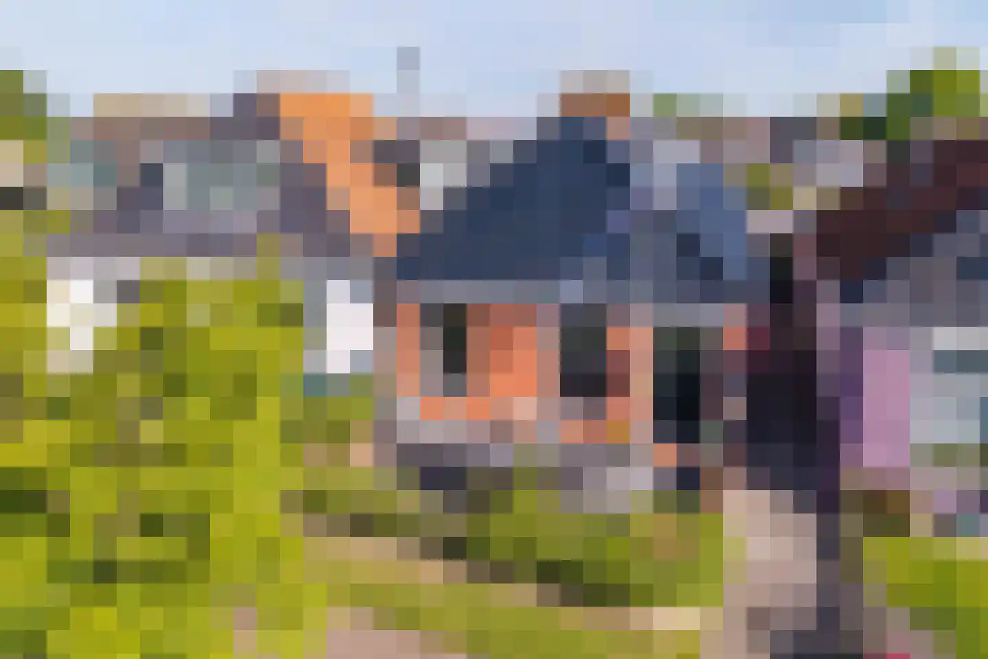 Nijpaed 5 Warten thumbnail 8