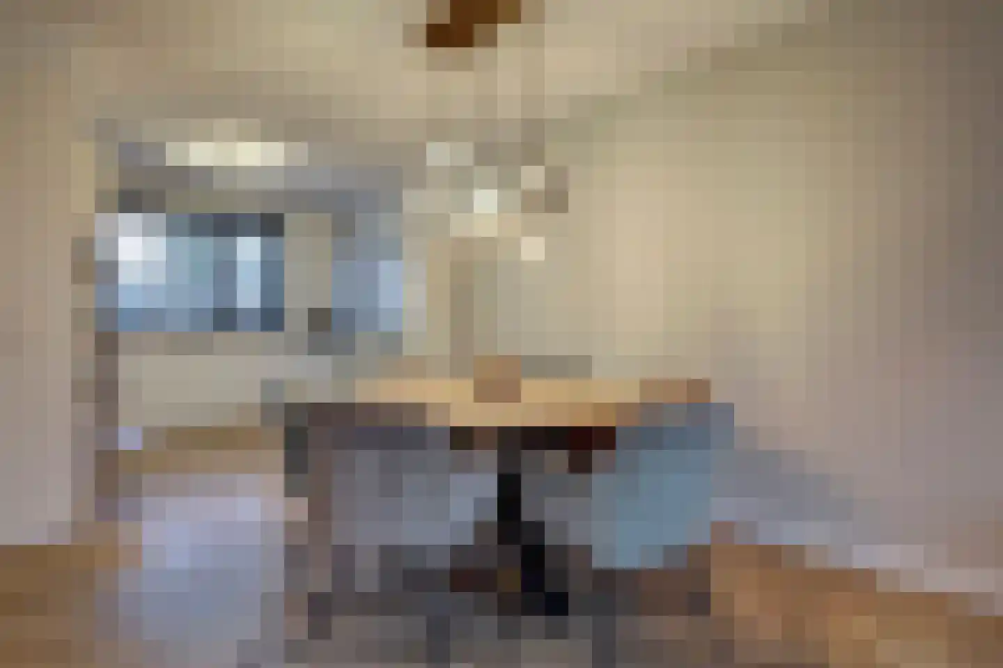 Nijreesweg 10 Almelo thumbnail 11