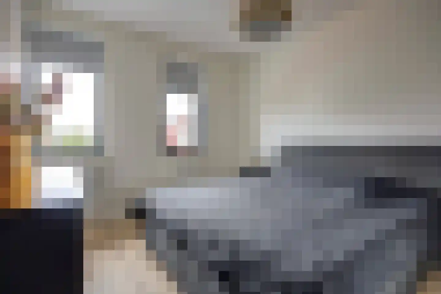 Nijreesweg 10 Almelo thumbnail 16
