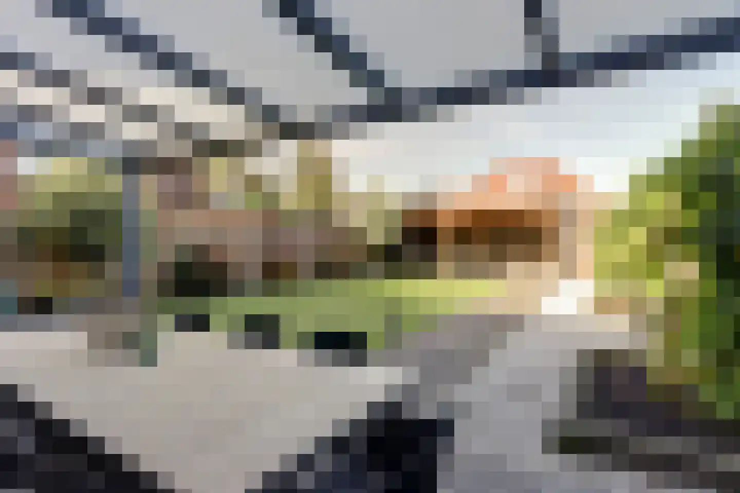 Nijreesweg 10 Almelo thumbnail 24