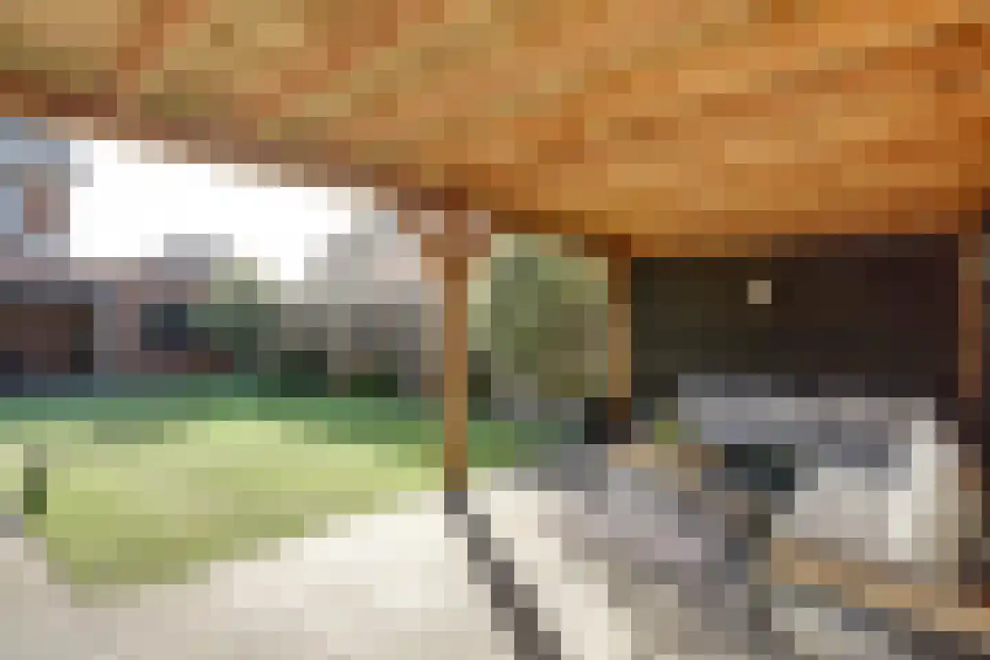 Nijreesweg 10 Almelo thumbnail 26